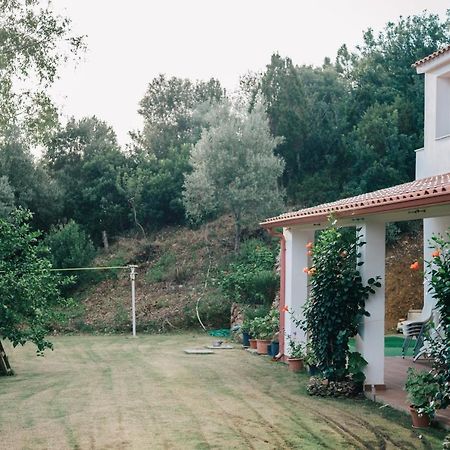 Guesthouse Casavasco Chia Exterior photo